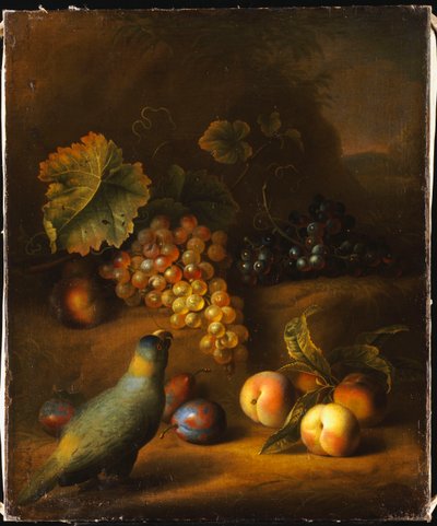 Un loro con uvas, duraznos y ciruelas en un paisaje de Tobias Stranover