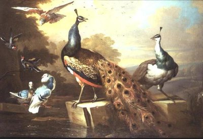 Pavo real y pava en un paisaje de Tobias Stranover