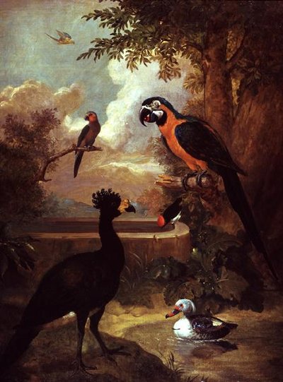 Aves silvestres de Tobias Stranover