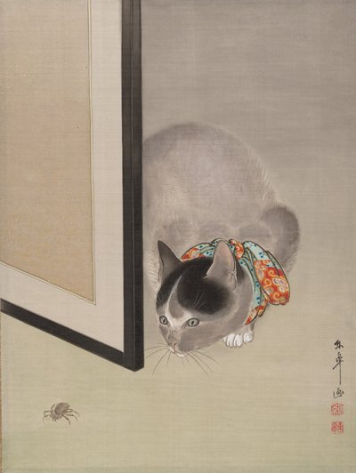 Gato mirando una araña, ca. 1888-92 de Toko Oide