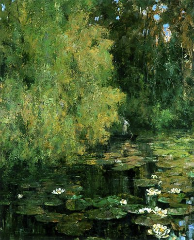 La piscina de lirios, 1905 de Tom Clifton Butterfield