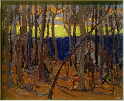 Tienda fantasma de Tom Thomson
