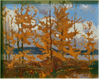 Alerces de Tom Thomson