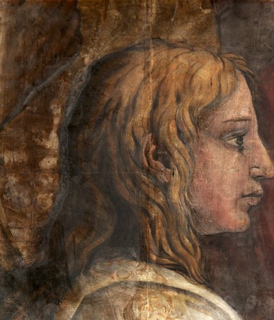 Una cabeza del cartón para el tapiz de La Presentación en el Templo, c.1524 de Tommaso Vincidor