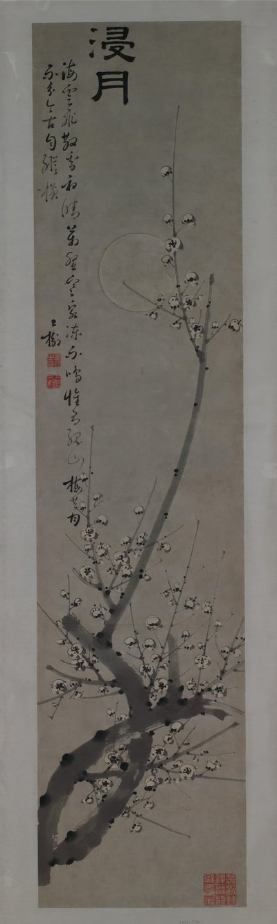 Flores de ciruelo a la luz de la luna, segunda mitad del siglo XVIII de Tong Yu