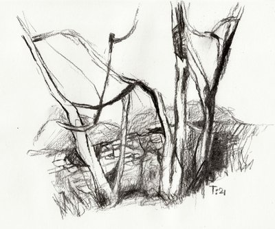Boceto de un bosque desnudo de Tore Bahnson
