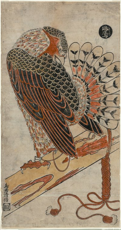 Gavilán (Konori taka) de Torii Kiyomasu I