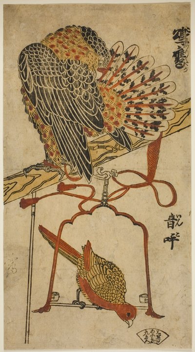 Gavilán y guacamayo (Konori taka, inko) de Torii Kiyomasu I