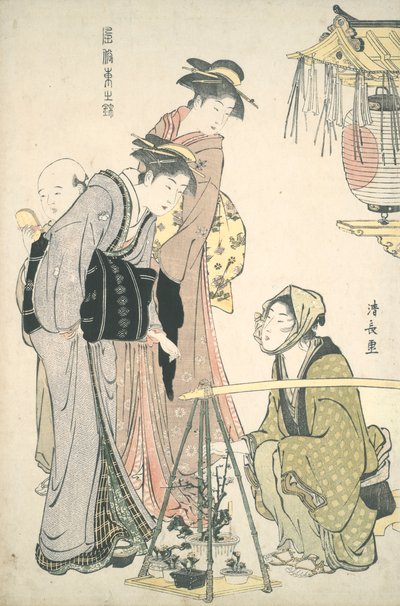Comprar plantas en maceta: Brocados de Oriente de Torii Kiyonaga