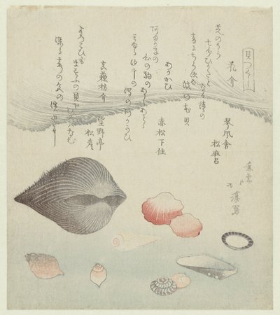 Concha de flor, concha roja y concha roja pura. Hanagai akagai masuogai (título sobre objeto) Una serie de conchas (título de la serie) Kaatsukushi (título de la serie sobre el objeto) de Totoya Hokkei
