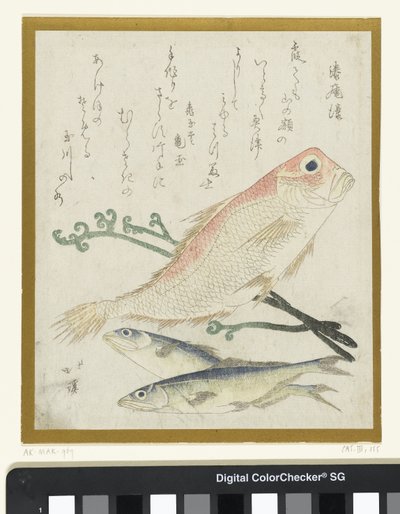 Tres peces y helechos de Totoya Hokkei