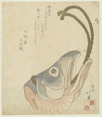 cabeza de salmón de Totoya Hokkei