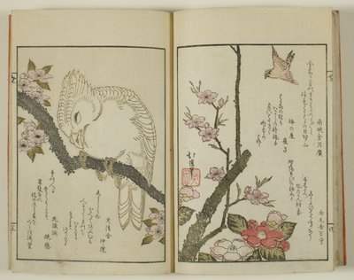 Kyoka hyakucho Kocho de Totoya Hokkei