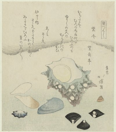 Concha morada, almejas de agua dulce y concha turbante Murasakigai shijimi sazae (título sobre objeto) Una serie de conchas (título de la serie) Kaatsukushi (título de la serie sobre el objeto) de Totoya Hokkei