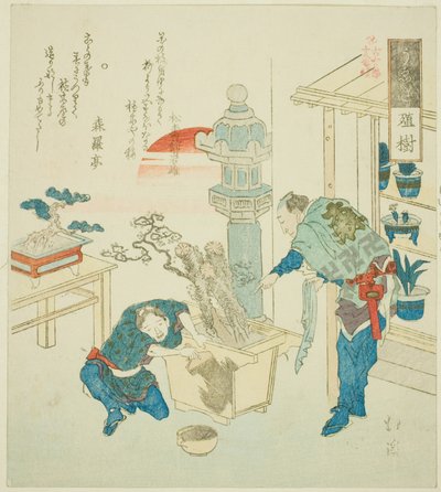 Planta en maceta (Ueki), de la serie "Dieciocho ilustraciones de la escalera de palabras antiguas (Kogentei juhachiban tsuzuki)" de Totoya Hokkei