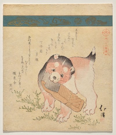 Cachorro con rodaja de salmón seco de Totoya Hokkei
