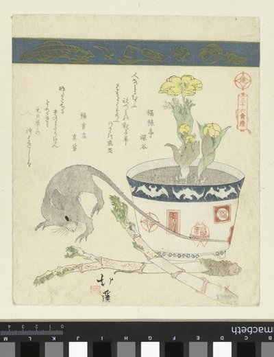 Rata y ven con Adonis Una serie de treinta y seis pájaros (título de la serie) Sanjûrokutoritsukushi (título de la serie sobre el objeto) de Totoya Hokkei