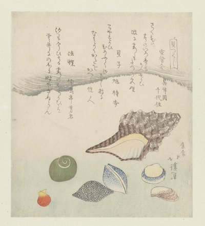 Concha de reflexión, concha de marfil y concha de tritón Utsusegai baishi hora (título sobre objeto) Una serie de conchas (título de la serie) Kaatsukushi (título de la serie sobre el objeto) de Totoya Hokkei