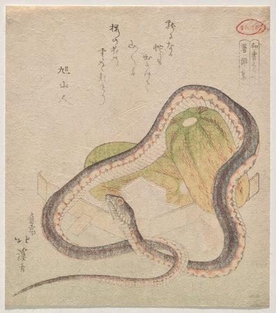Serpiente entrelazada con calabazas (¿Chomonj?; abreviatura de Kokon Chomonj?) de Totoya Hokkei