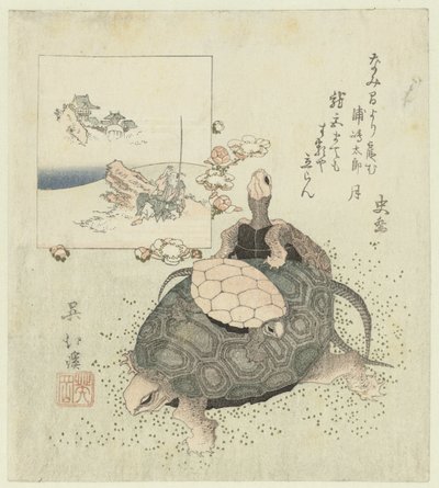 tortugas de Totoya Hokkei