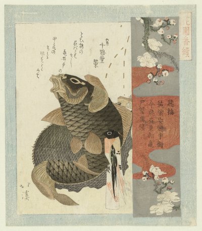 ciruela voladora Tobiume (título sobre objeto) Una serie para la Sociedad de Poesía Hanazono (título de la serie) Hanazono bantsuzuki (título de la serie sobre el objeto) de Totoya Hokkei