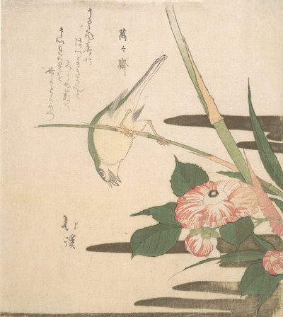 Reinita y camelia, ca. 1815-20 de Totoya Hokkei