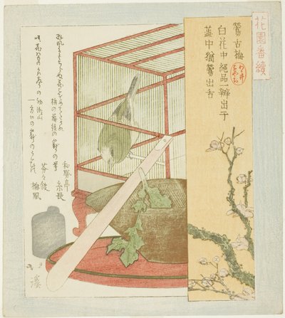 Ruiseñor en una jaula, de la serie "Una serie para el grupo Hanazono (Hanazono bantsuzuki)" de Totoya Hokkei