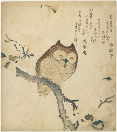 (Búho), principios del siglo XIX de Toyota Hokkei
