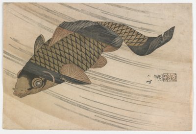 Carpas nadando río arriba, período Edo, mediados de 1820s de Toyota Hokkei