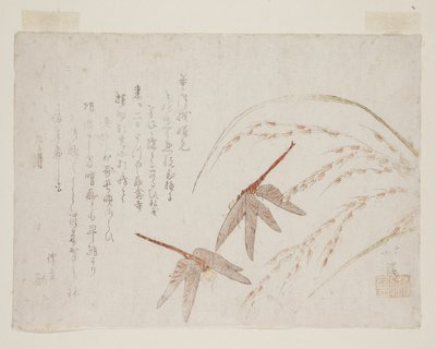 Libélulas de Toyota Hokkei