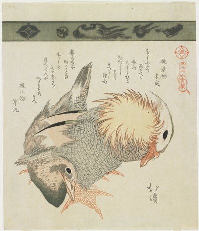 Pato mandarín y pato, c. 1830 de Toyota Hokkei