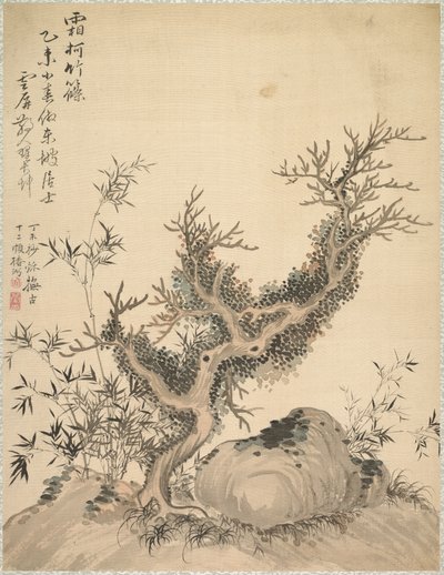 Ramas escarchadas y bambú enano, 1847 de Tsubaki Chinzan