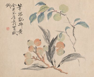 Árbol de níspero de Japón de Tsubaki Chinzan