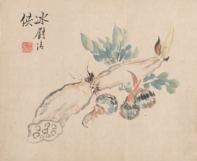 Lotus Root and Adder