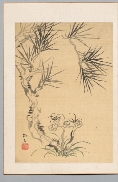 Pine Tree and Fungus de Tsubaki Chinzan