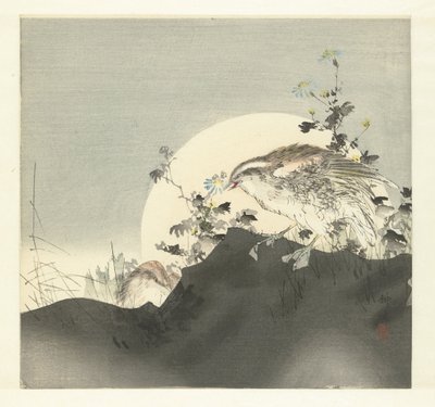 codornices de Tsukioka Kogyo