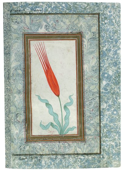 Página del álbum del tulipán turco, Estambul, 1725 de Turkish School