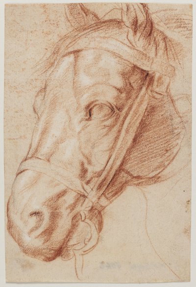 Cabeza de caballo de Ubekendt