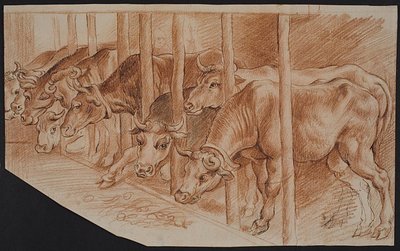 Vacas de "Invierno" de Ubekendt