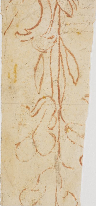 Ornamento vegetal (fragmento) de Ubekendt KKSgb7383