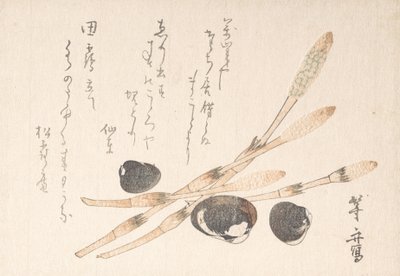 Planta Tsukushi y conchas Shijimi de Uematsu Toshu
