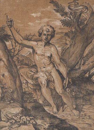 El joven San Juan Bautista en el desierto, ca. 1520-27 de Ugo da Carpi