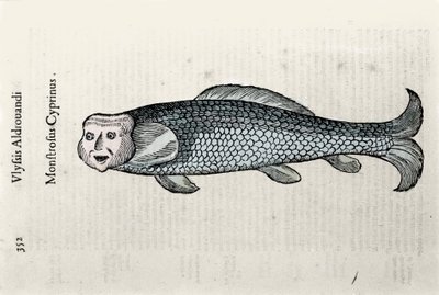 Representación de peces, placa de Nicolas ilustrada con un manuscrito de Historia Natural por Ulisse Aldrovandi (1522-1605), fondo Ulisse Aldrovandi, Biblioteca Universitaria de Bolonia, ed. 1603 de Ulisse Aldrovandi