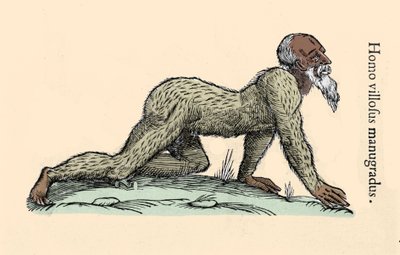 Criatura monstruosa: un hombre peludo caminando a cuatro patas. Placa después de Ulisse Aldrovandi (1522-1605), “Monstrorum Historiae”, Bolonia 1642 Milanes de Ulisse Aldrovandi