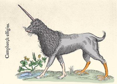 Representación de un camphurch, monstruo de las Islas Molucas. Grabado por Ulisse Aldrovandi (1522-1605), 