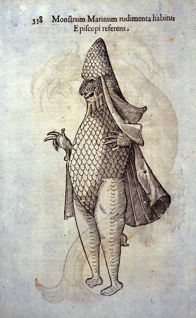 El obispo del mar, pez imaginario y monstruo marino por Ulisse Aldrovandi (1522-1605), “Monstrorum Historiae”, Bolonia 1642 de Ulisse Aldrovandi