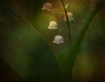  de Ulrike Eisenmann