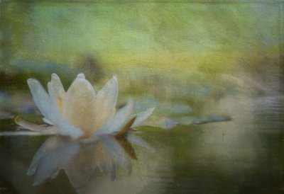  de Ulrike Eisenmann