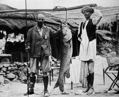 Mahseer de 59 lb, capturado por el Capitán H. B. D. Campbell, R.E., en el Alto Ganges, c1903, 1903 de Unbekannt