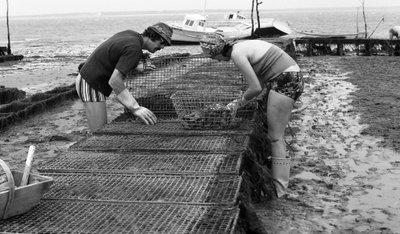 6080 C18 Ostregrower en Vendee Oyster Agosto 1974 de Unbekannt